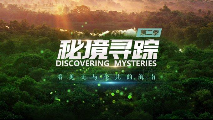 独步竹林