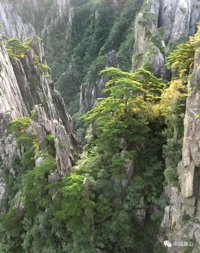 逃出华丽的房子